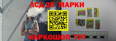 крисы Кулебаки