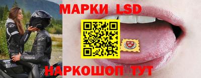 крисы Кулебаки