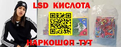 крисы Кулебаки