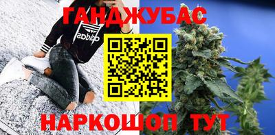 крисы Кулебаки