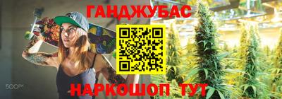 крисы Кулебаки