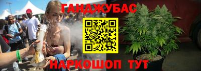 крисы Кулебаки