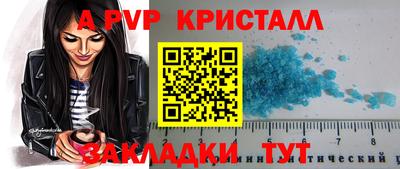 крисы Кулебаки
